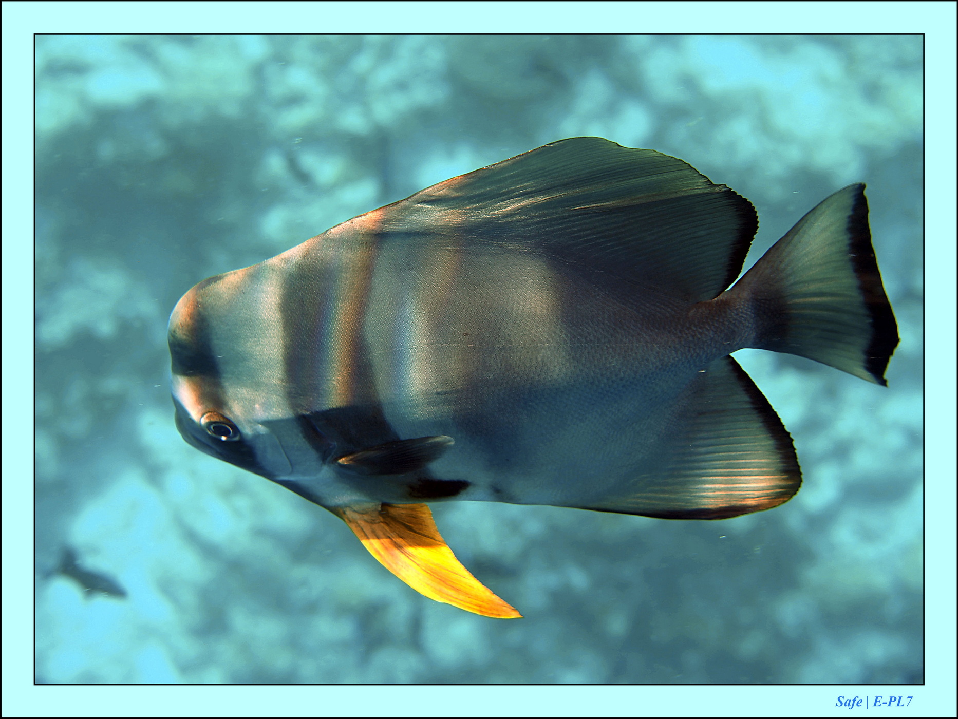 2023 - 07 - Sandies Bathala - 110